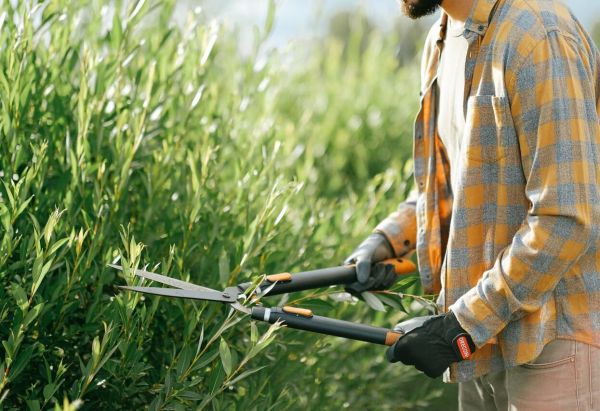 Must-Have Tools for Beginner Gardeners from Hoselink