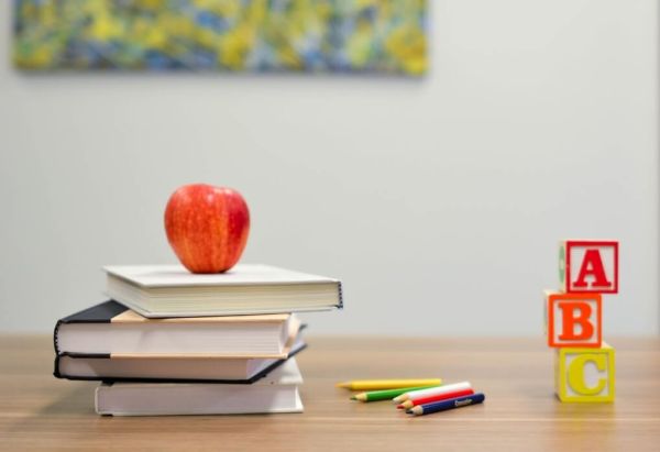 Best World Health Day Activities for Kids