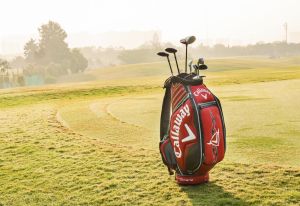 What Sports Good to Buy from Dicks Sporting Goods